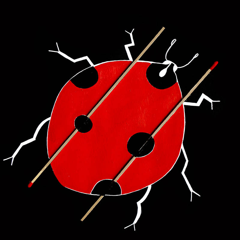 PATRICK SELINGER | NATIONAL 55