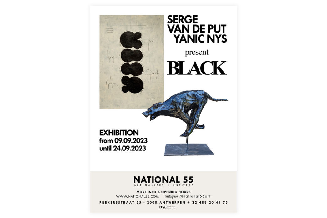 YANIC NYS & SERGE VAN DE PUT | NATIONAL 55 ART GALLERY