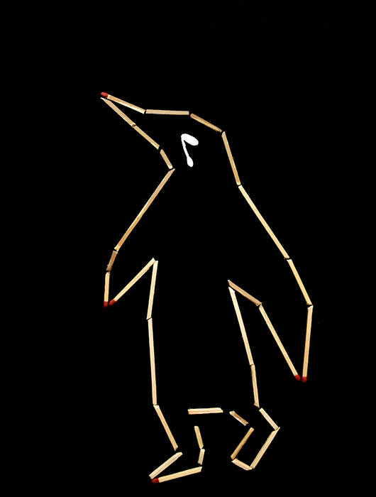 PATRICK SELINGER | NATIONAL 55